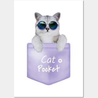 cat pocket Posters and Art